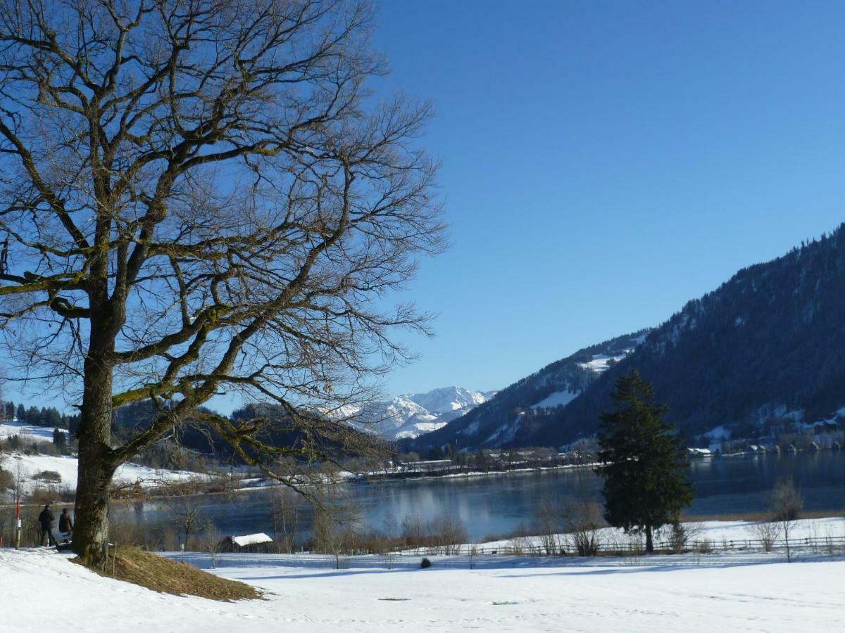 Villa Haus Bergpanorama Immenstadt im Allgäu Exterior foto